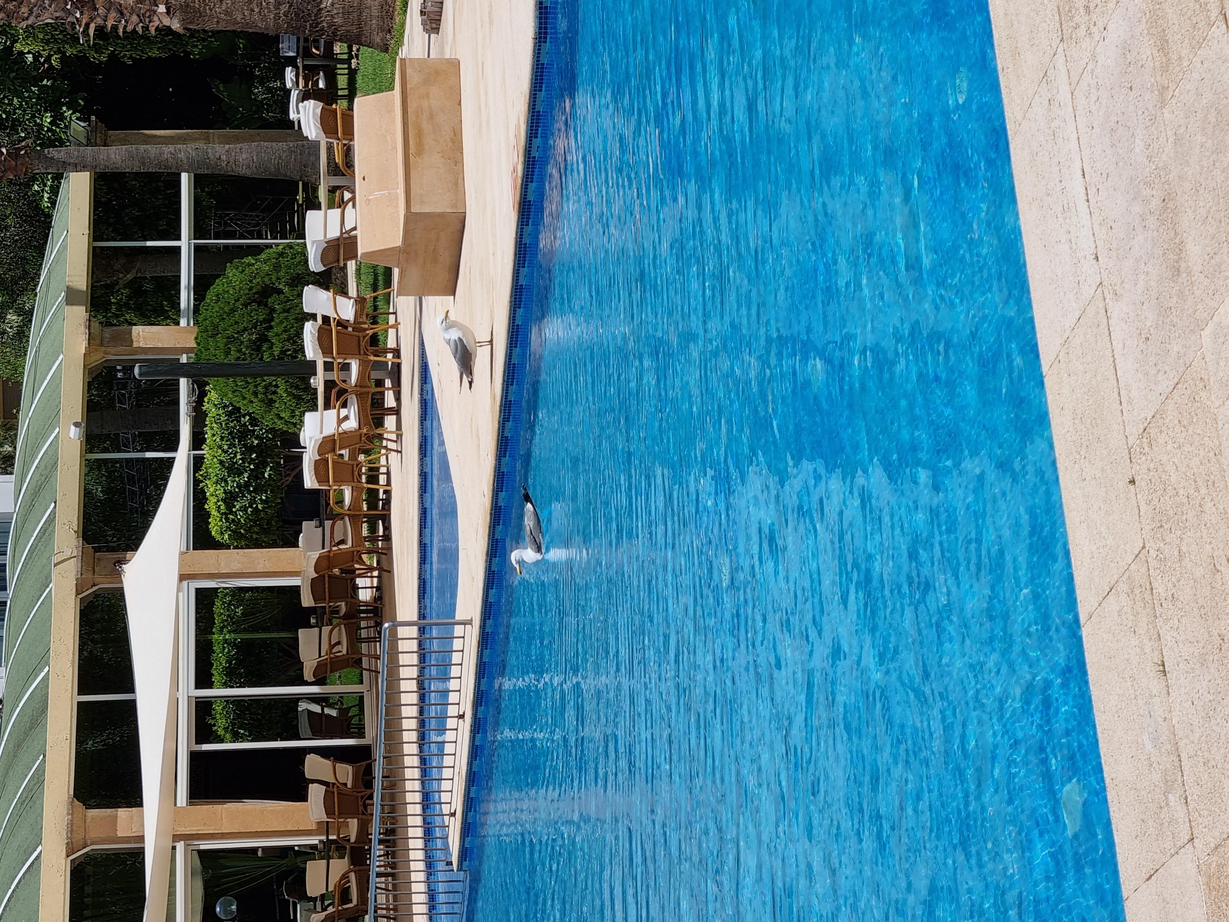 El Oumnia Puerto & Spa Tanger Eksteriør bilde